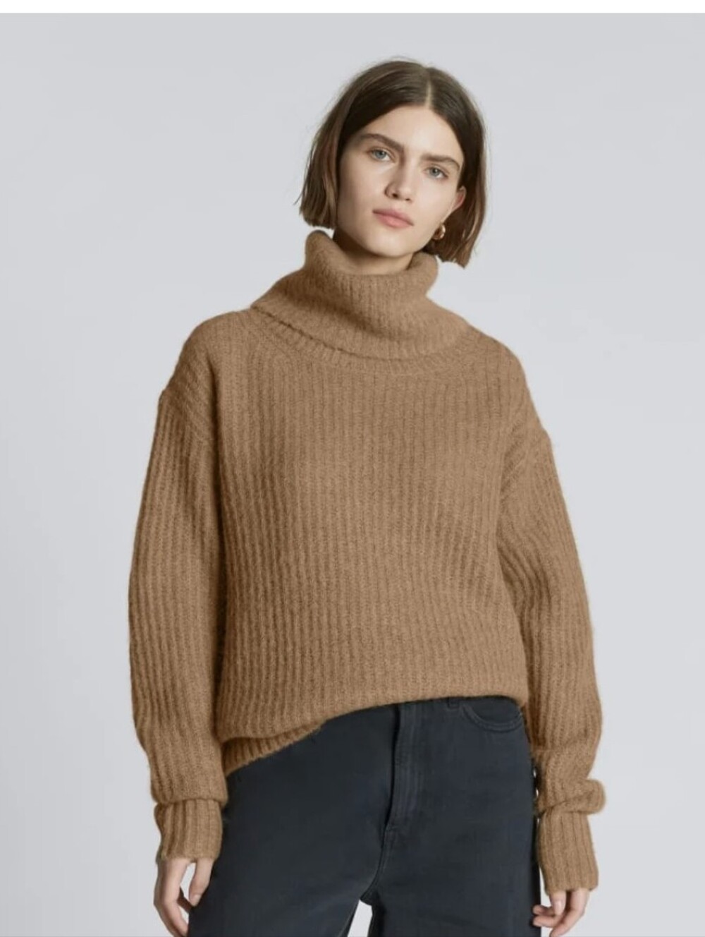Everlane The Alpaca Oversized Turtleneck In Cappuccino Size Small